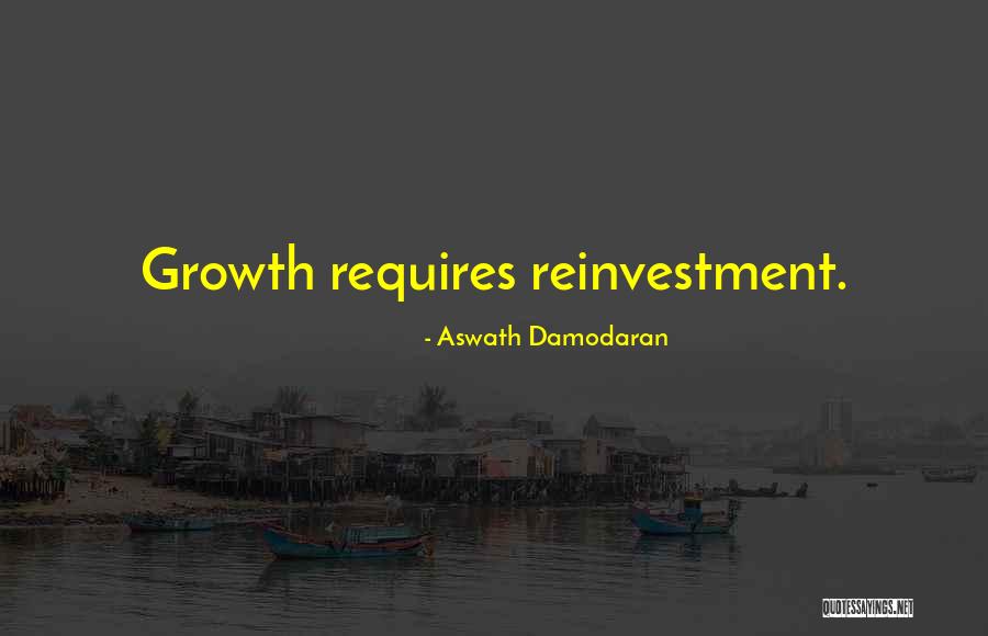 A Night At The Shanley Hotel Quotes By Aswath Damodaran A Night At The Shanley Hotel Quotes By Aswath Damodaran
