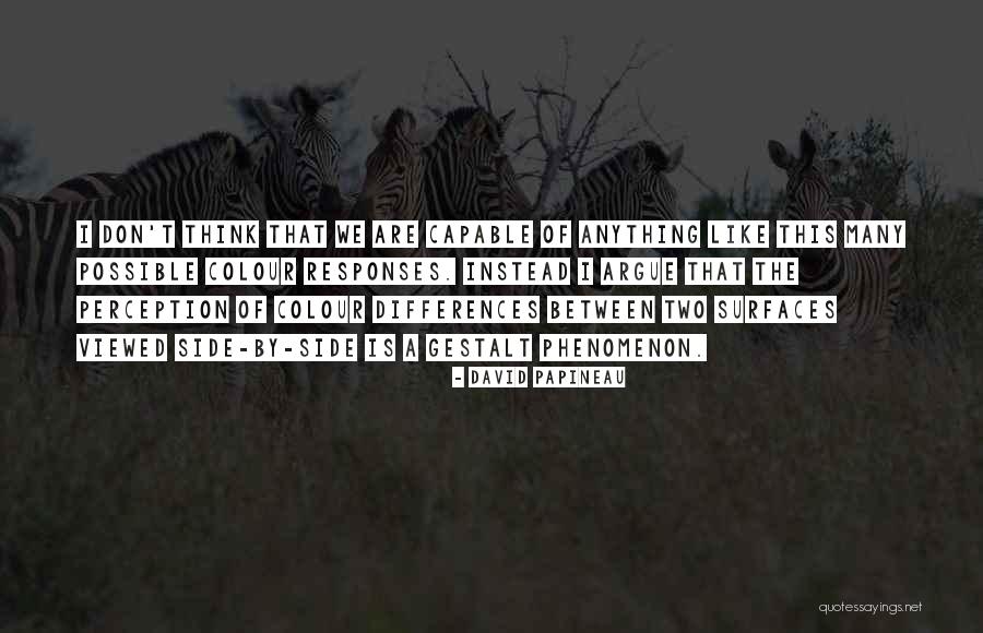 A Night Divided Gerta Quotes By David Papineau A Night Divided Gerta Quotes By David Papineau
