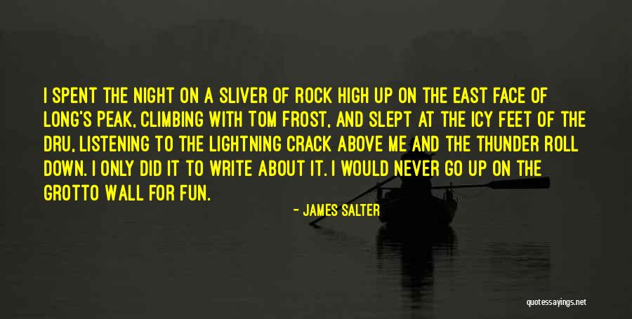 A Night Of Fun Quotes By James Salter