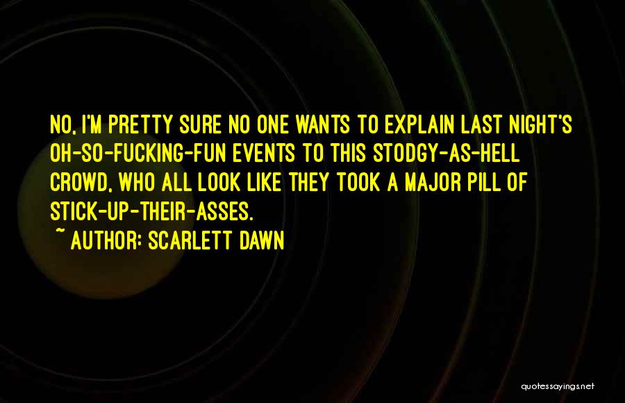 A Night Of Fun Quotes By Scarlett Dawn