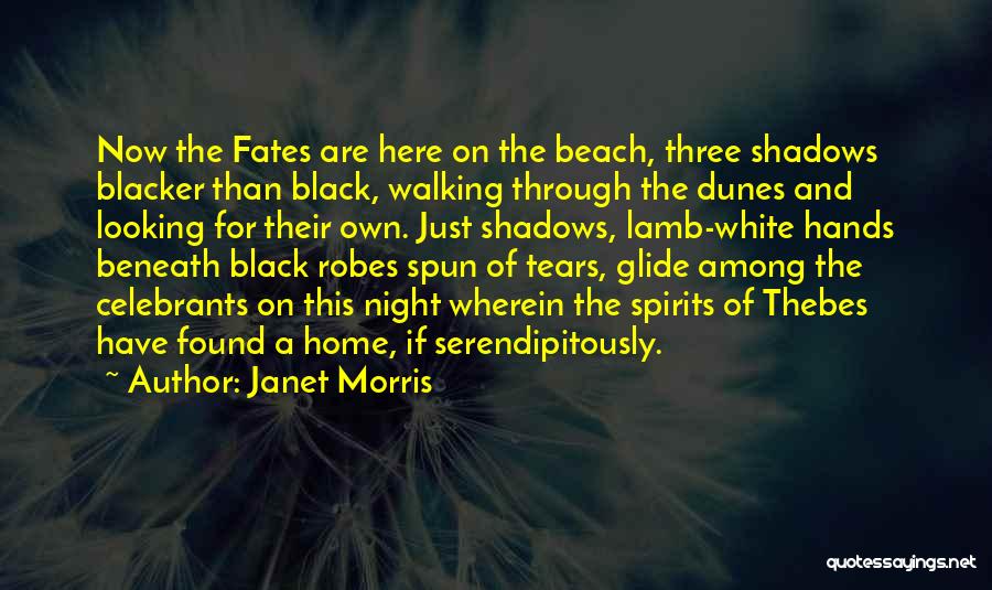 A Night Quotes By Janet Morris