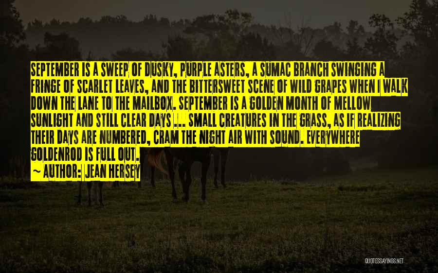 A Night Quotes By Jean Hersey