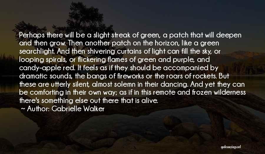 A Northern Light Quotes By Gabrielle Walker