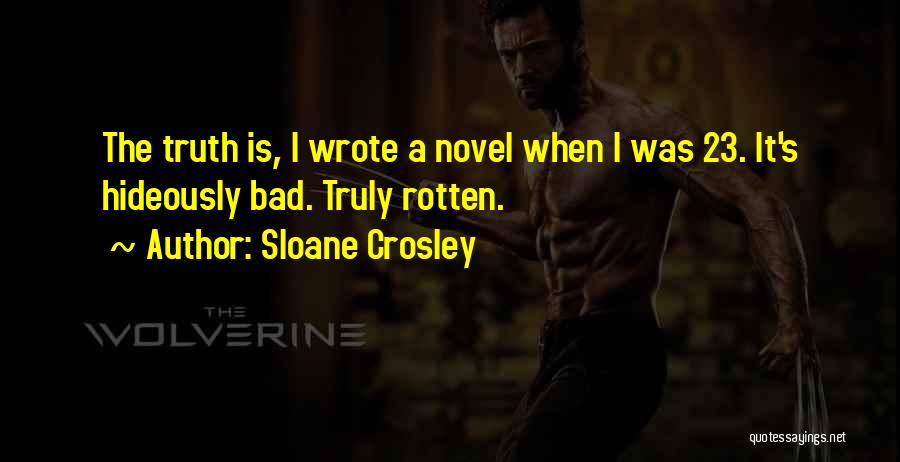 A Novel Quotes By Sloane Crosley