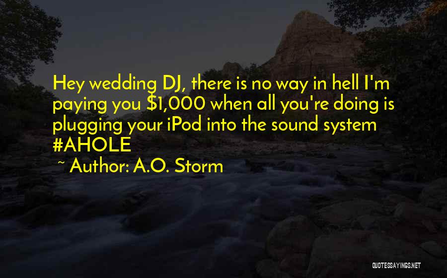 A.O. Storm Quotes 2045358