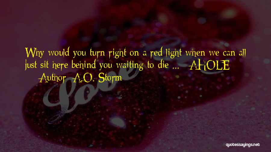 A.O. Storm Quotes 678930