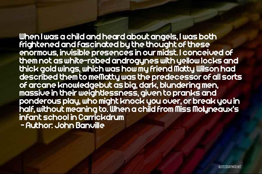 A One Year Old Child Quotes By John Banville