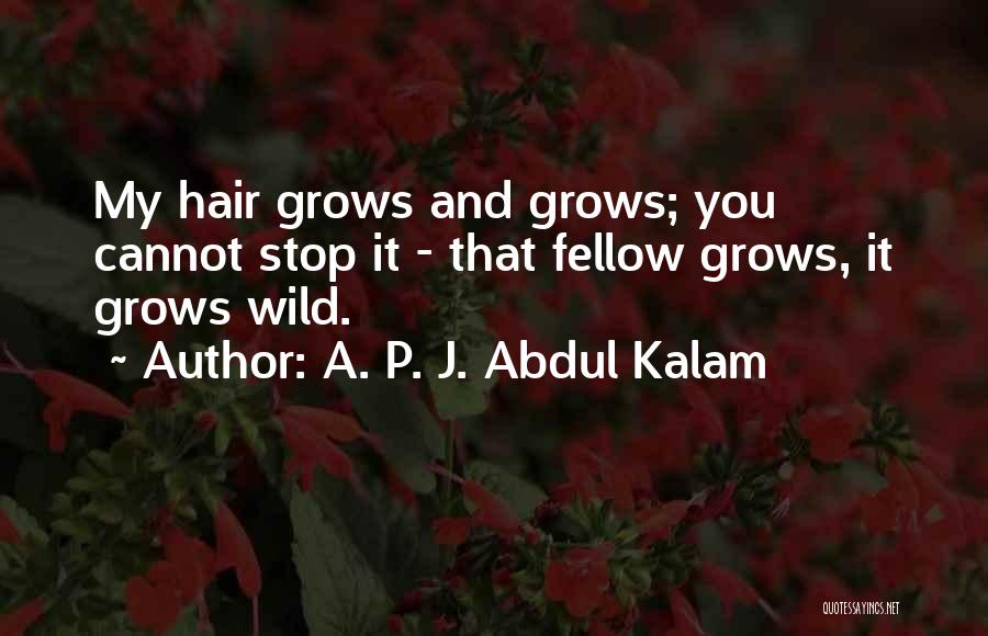 A. P. J. Abdul Kalam Quotes 993984
