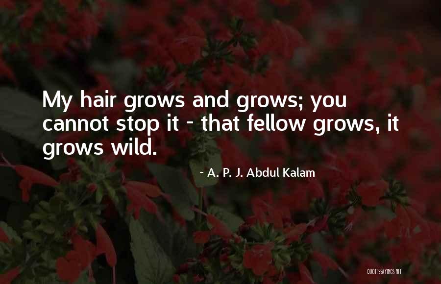 A. P. J. Abdul Kalam Quotes 993984