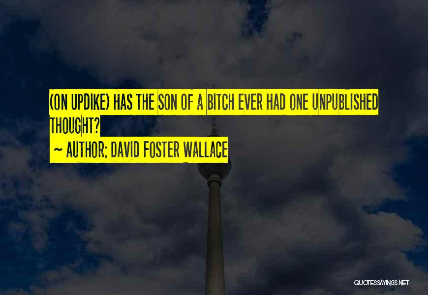 A&p Updike Quotes By David Foster Wallace