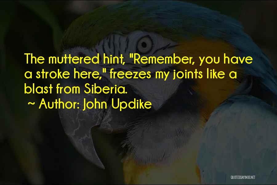 A&p Updike Quotes By John Updike