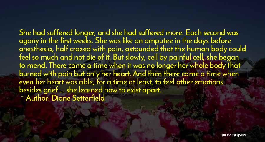 A Painful Heart Quotes By Diane Setterfield