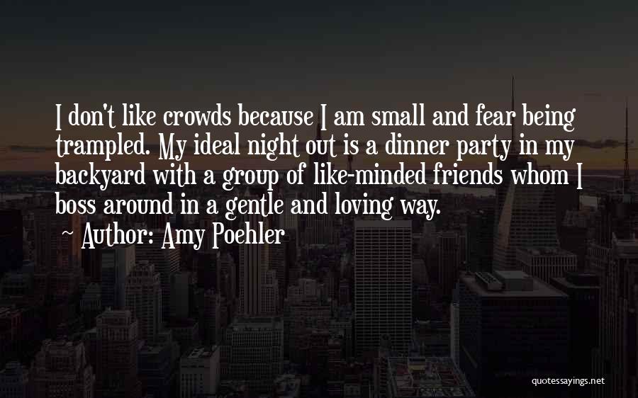 A Party With Friends Quotes By Amy Poehler