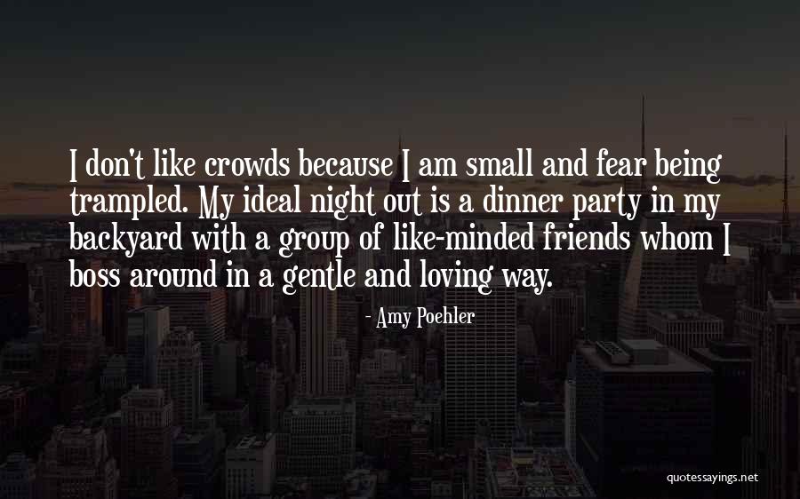 A Party With Friends Quotes By Amy Poehler A Party With Friends Quotes By Amy Poehler