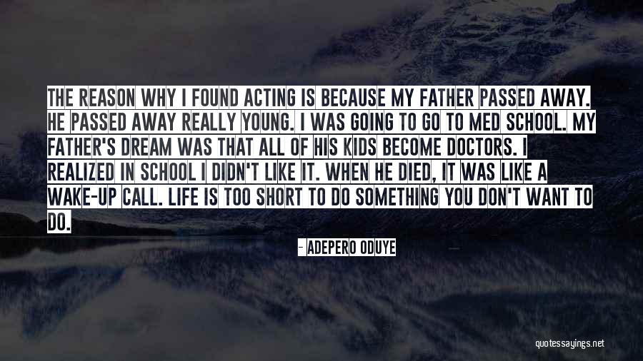 A Passed Away Father Quotes By Adepero Oduye