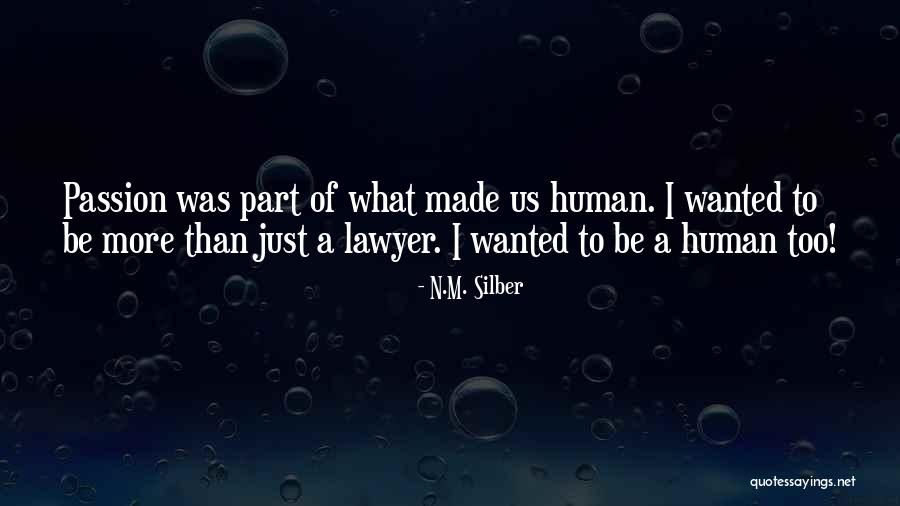 A Passion Quotes By N.M. Silber A Passion Quotes By N.M. Silber