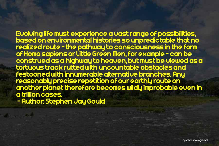 A Pathway Quotes By Stephen Jay Gould