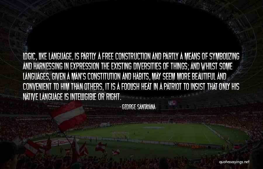 A Patriot Quotes By George Santayana