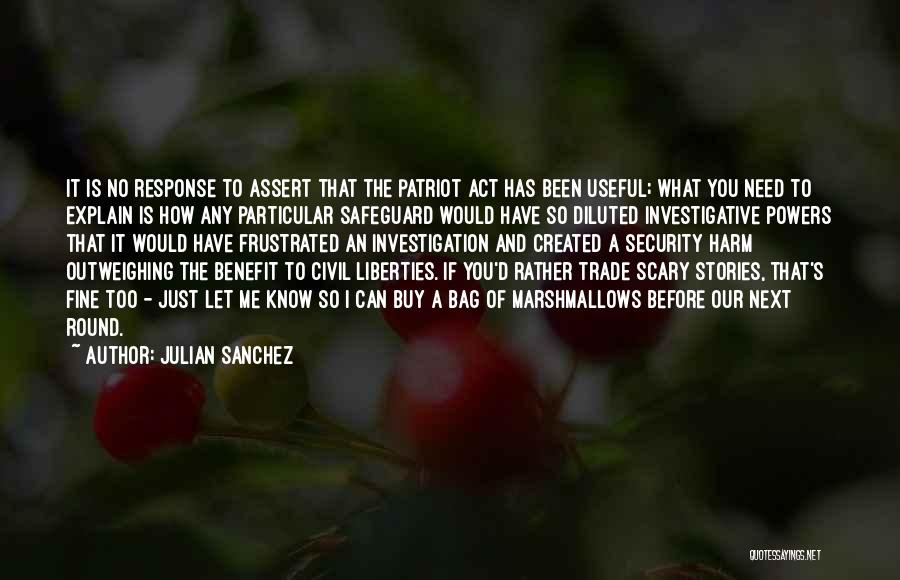 A Patriot Quotes By Julian Sanchez