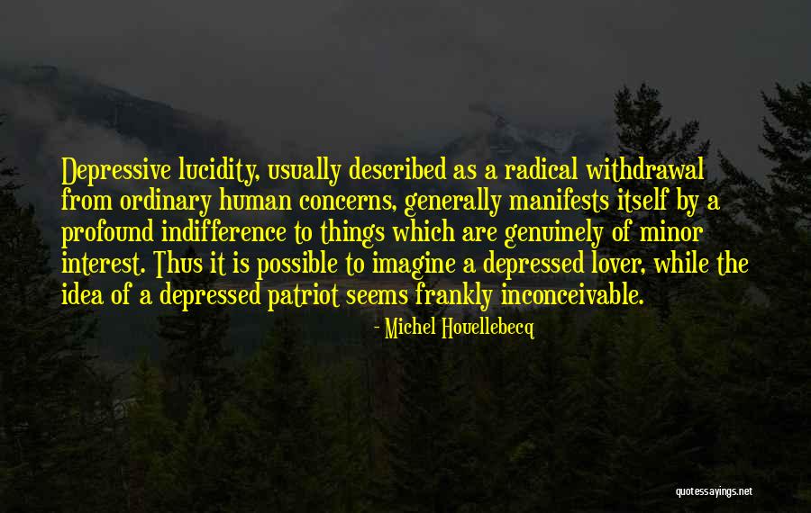 A Patriot Quotes By Michel Houellebecq