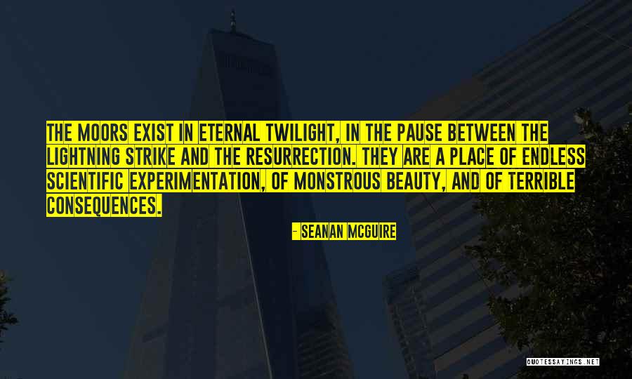 A Pause Quotes By Seanan McGuire A Pause Quotes By Seanan McGuire