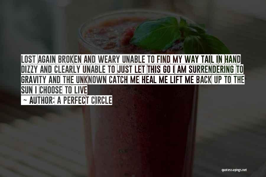 A Perfect Circle Quotes 1888074 A Perfect Circle Quotes 1888074