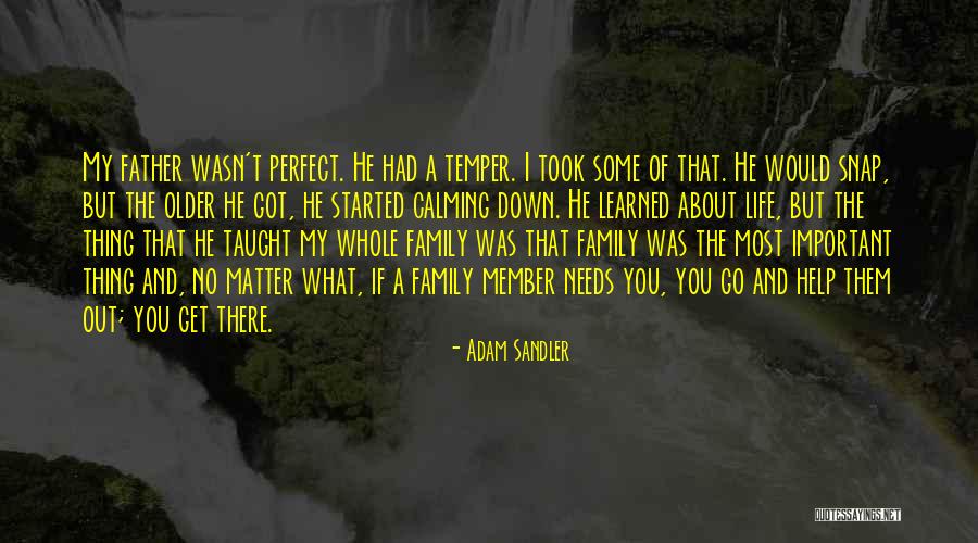 A Perfect Family Quotes By Adam Sandler A Perfect Family Quotes By Adam Sandler