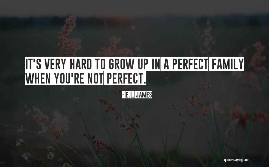 A Perfect Family Quotes By E.L. James A Perfect Family Quotes By E.L. James