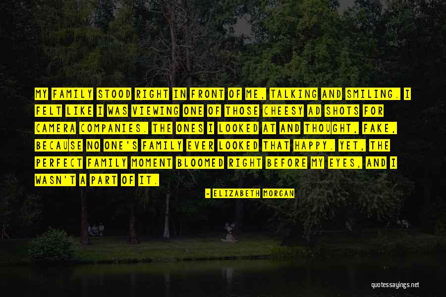 A Perfect Family Quotes By Elizabeth Morgan A Perfect Family Quotes By Elizabeth Morgan