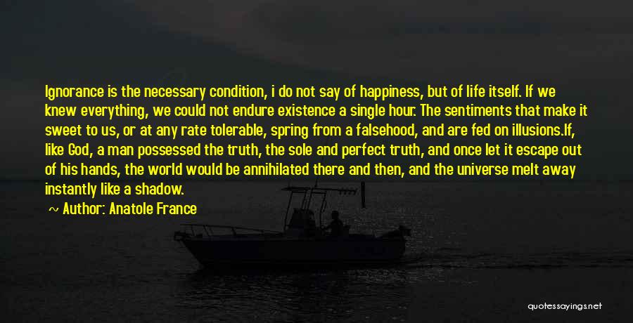 A Perfect Life Quotes By Anatole France