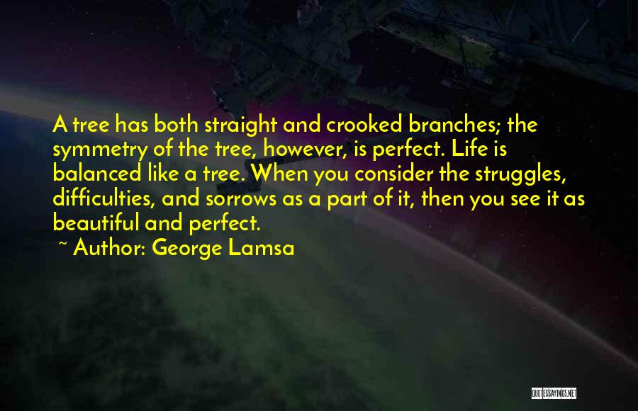 A Perfect Life Quotes By George Lamsa