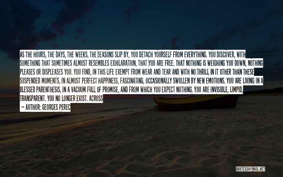 A Perfect Life Quotes By Georges Perec