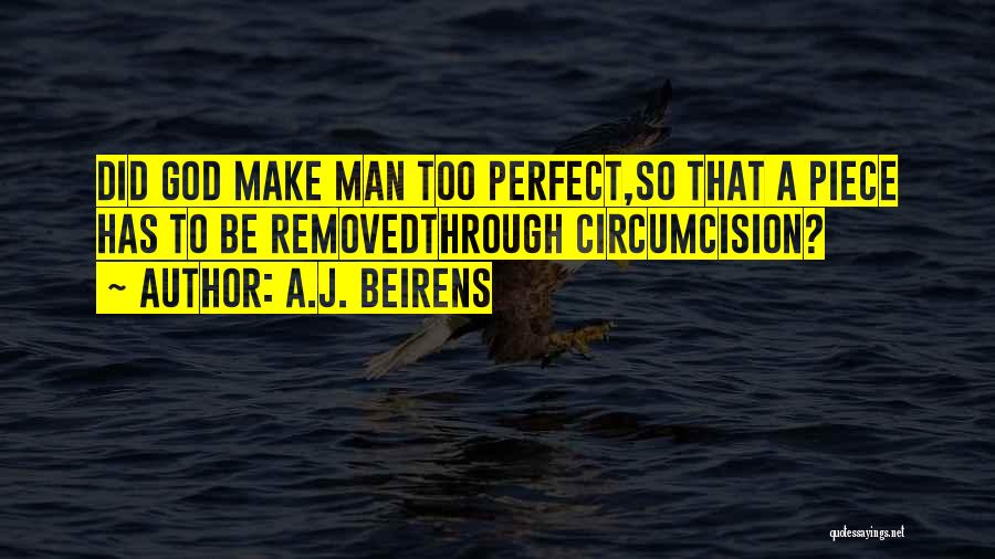 A Perfect Man Quotes By A.J. Beirens