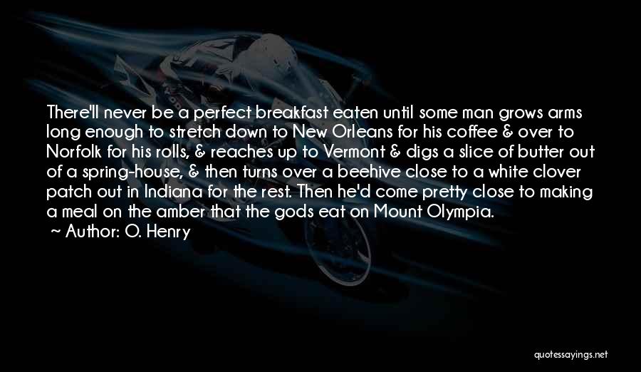A Perfect Man Quotes By O. Henry