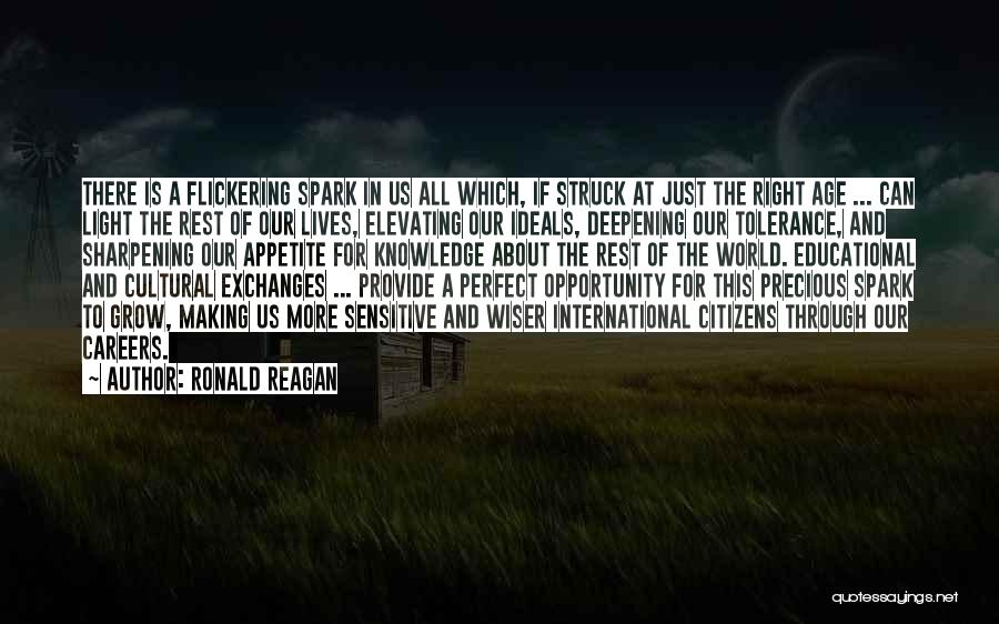 A Perfect World Quotes By Ronald Reagan