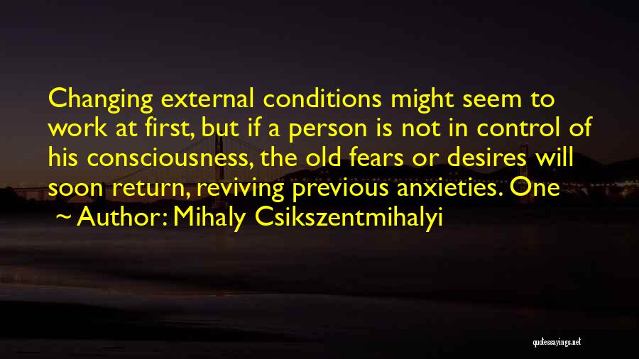 A Person Not Changing Quotes By Mihaly Csikszentmihalyi