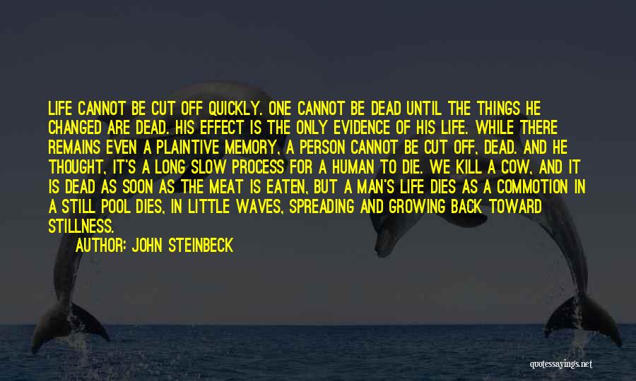 A Person Who Changed Your Life Quotes By John Steinbeck