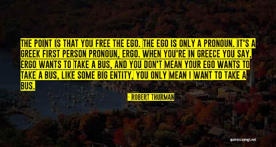 A Person You Don't Like Quotes By Robert Thurman