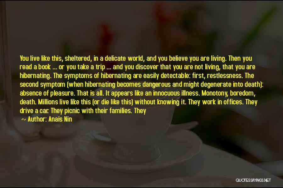 A Person You Like Quotes By Anais Nin