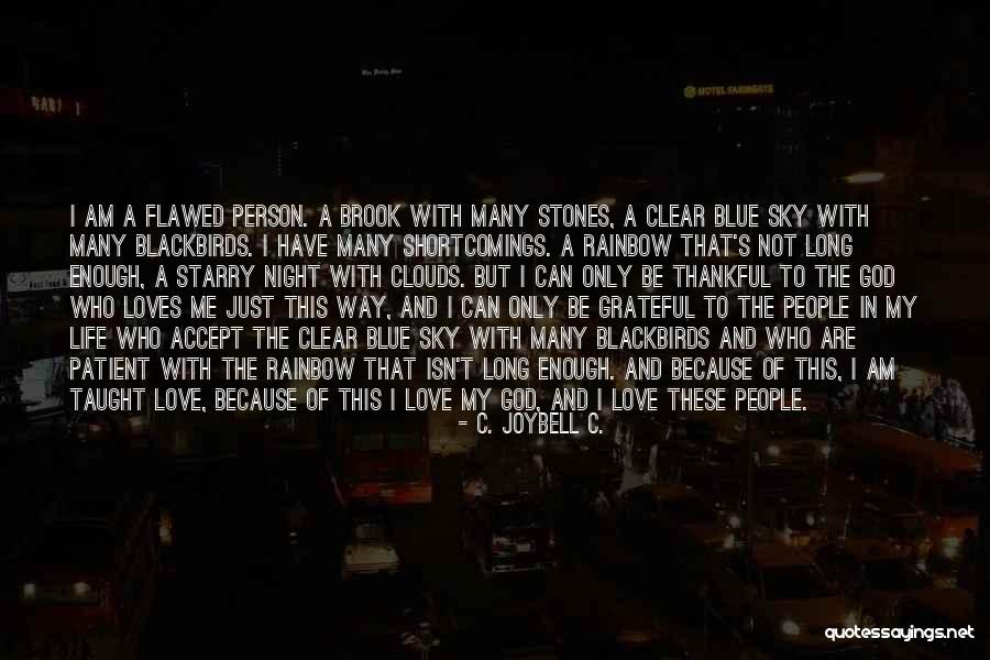 A Person's Attitude Quotes By C. JoyBell C. A Person's Attitude Quotes By C. JoyBell C.