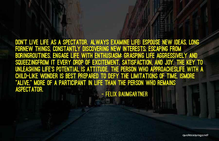 A Person's Attitude Quotes By Felix Baumgartner A Person's Attitude Quotes By Felix Baumgartner