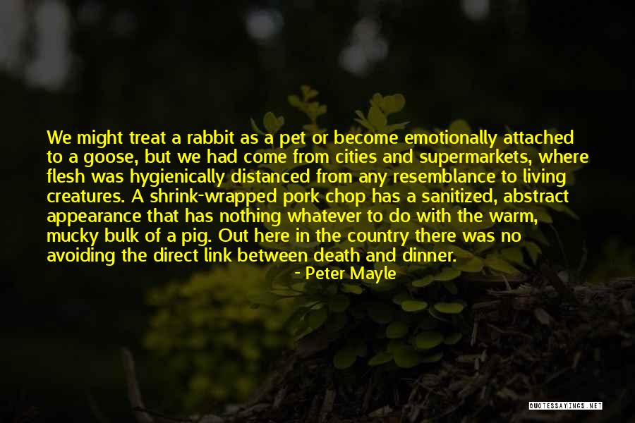 A Pet's Death Quotes By Peter Mayle A Pet's Death Quotes By Peter Mayle