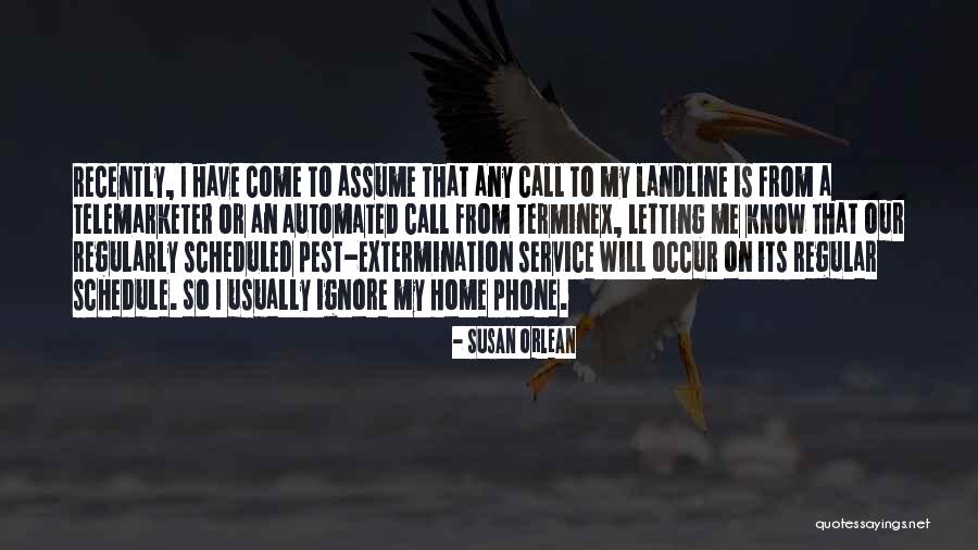 A Phone Call Quotes By Susan Orlean A Phone Call Quotes By Susan Orlean