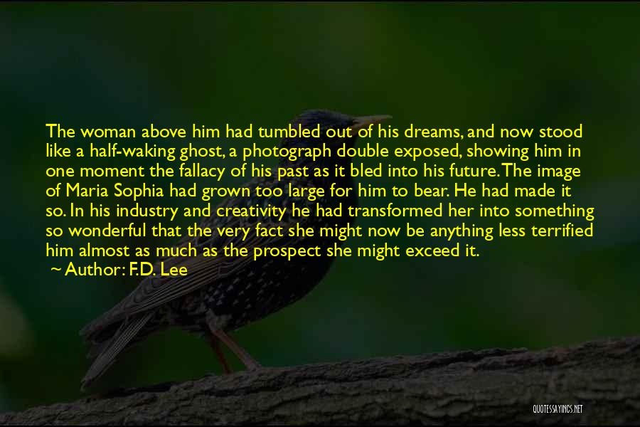 A Photograph Quotes By F.D. Lee