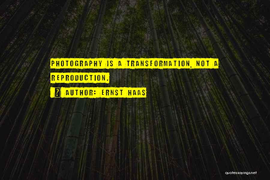 A Photography Quotes By Ernst Haas