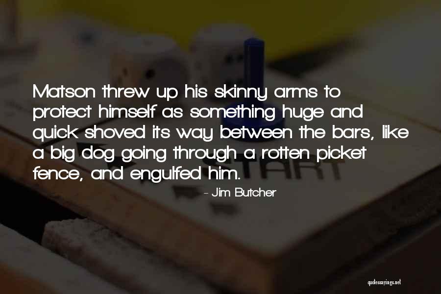 A Picket Fence Quotes By Jim Butcher A Picket Fence Quotes By Jim Butcher