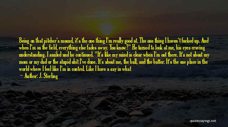 A Picture Frame Quotes By J. Sterling