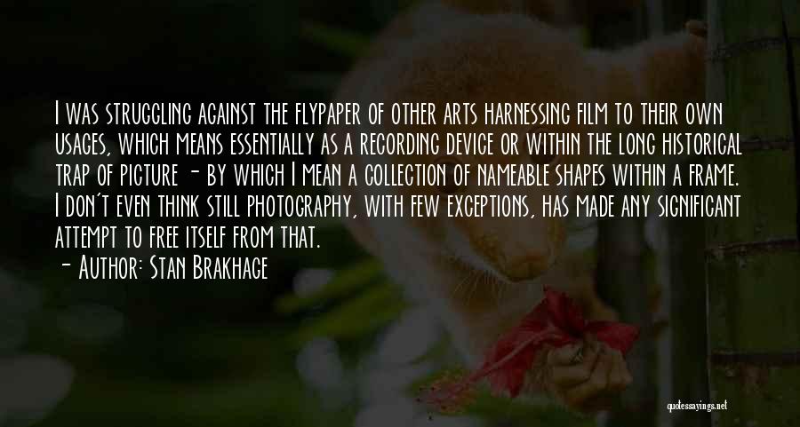 A Picture Frame Quotes By Stan Brakhage