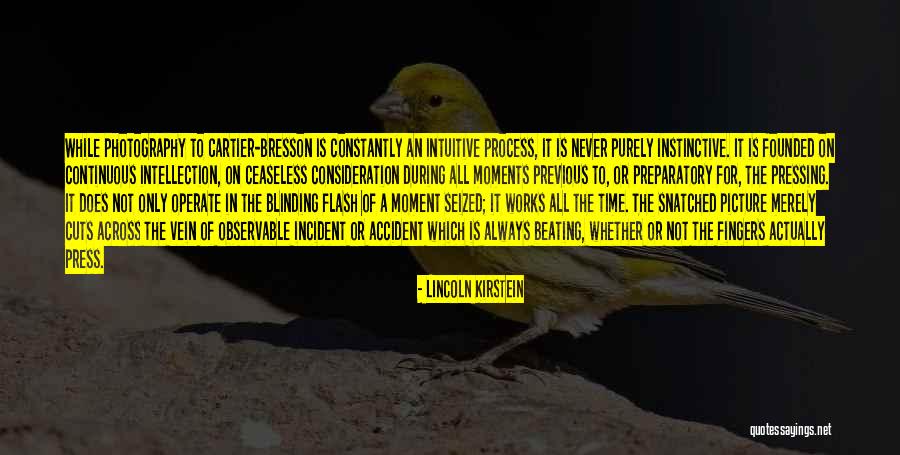A Picture Is A Moment In Time Quotes By Lincoln Kirstein A Picture Is A Moment In Time Quotes By Lincoln Kirstein