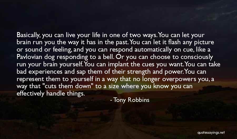 A Picture Of Yourself Quotes By Tony Robbins A Picture Of Yourself Quotes By Tony Robbins